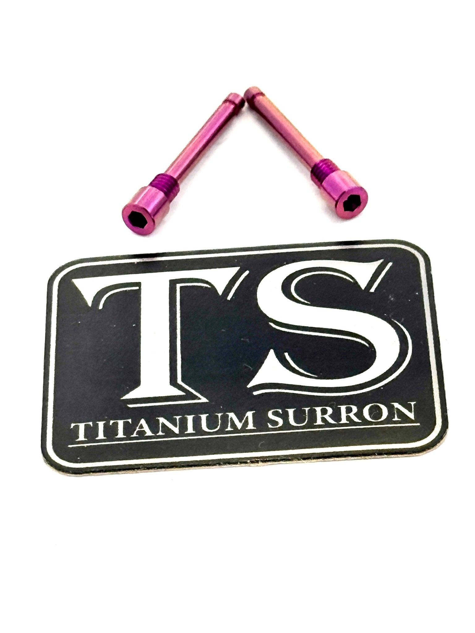 Brake-Pad Screws/ Pins - E-moto (set of two)