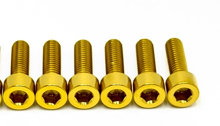 Titanium Controller Mount Bolts for E-moto
